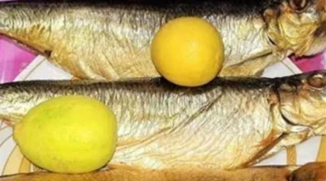 تباين أسعار الأسماك المملحة في الأسواق المصرية بين 110 و800 جنيه قبل العيد